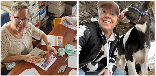 two photos of Laura: one working at her desk and one with Fluff the cow.